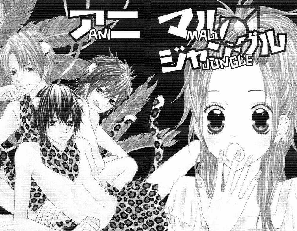 Animal Jungle Chapter 1 trang 8