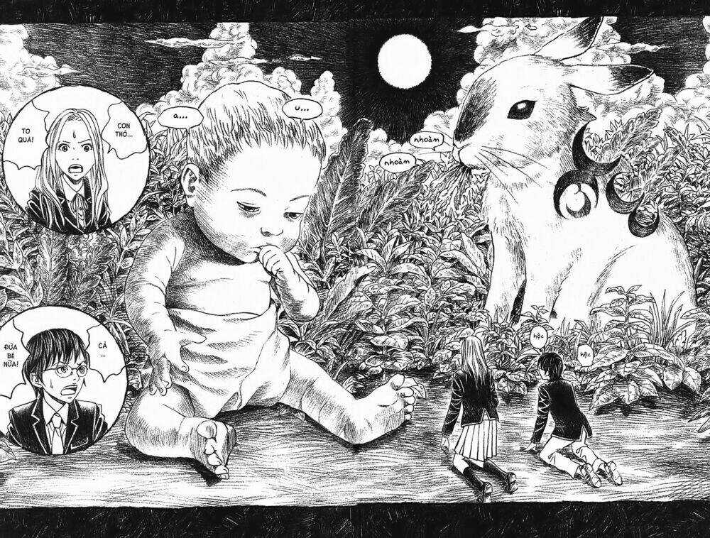 Ảo ảnh Picasso Chapter 2 trang 24