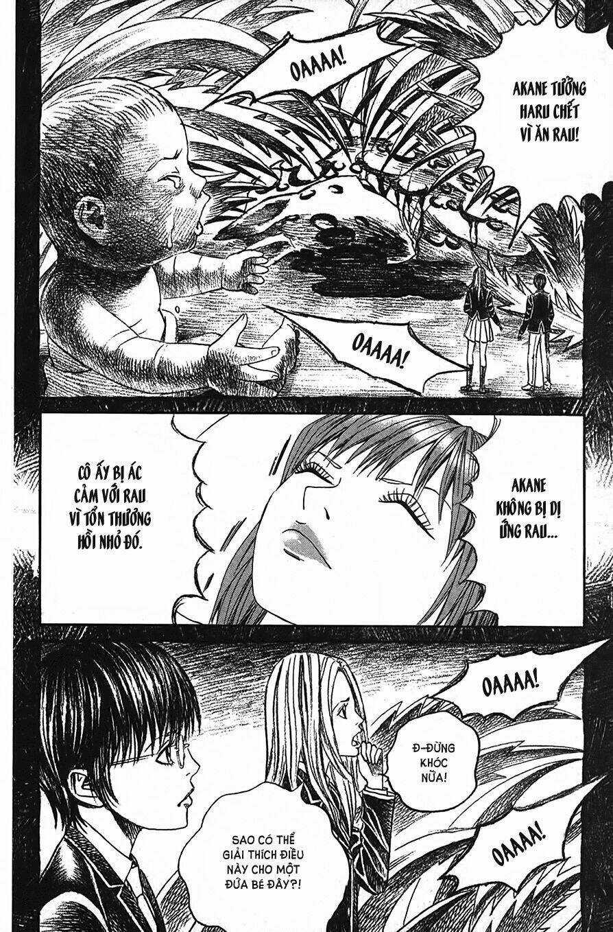 Ảo ảnh Picasso Chapter 2 trang 37