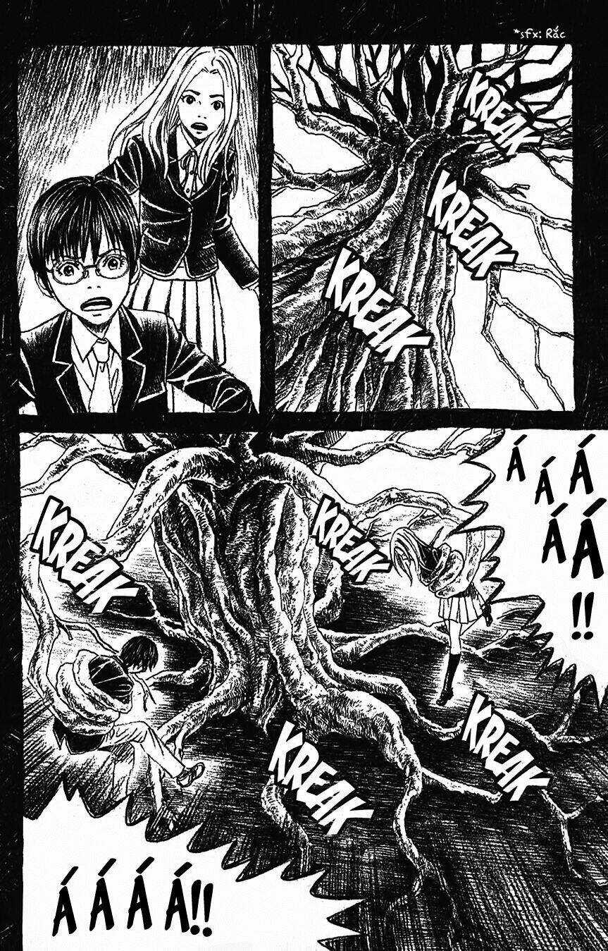 Ảo ảnh Picasso Chapter 3 trang 23