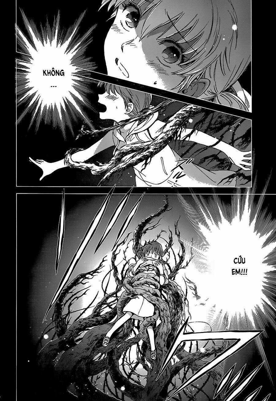 Áo Giáp Vàng: Nữ Thánh Đấu Sĩ Chapter 1 trang 4