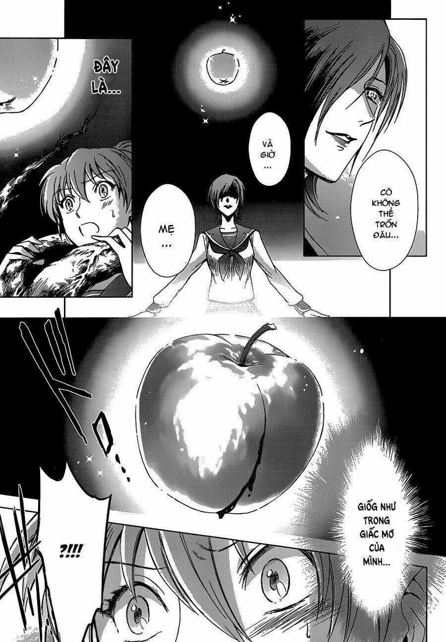 Áo Giáp Vàng: Nữ Thánh Đấu Sĩ Chapter 1 trang 42