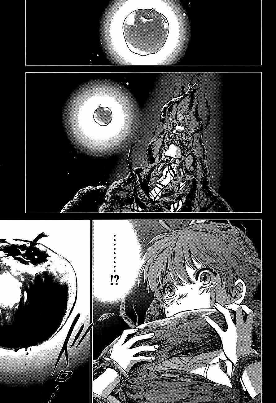 Áo Giáp Vàng: Nữ Thánh Đấu Sĩ Chapter 1 trang 5