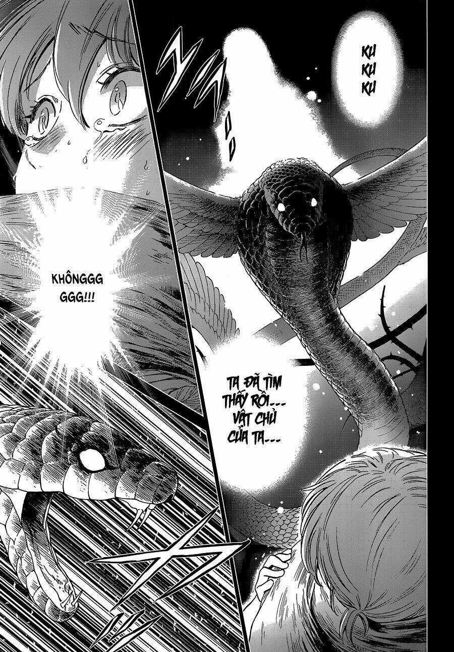 Áo Giáp Vàng: Nữ Thánh Đấu Sĩ Chapter 1 trang 7