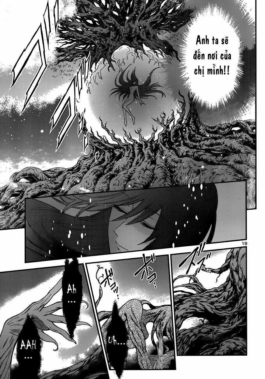 Áo Giáp Vàng: Nữ Thánh Đấu Sĩ Chapter 11 trang 17