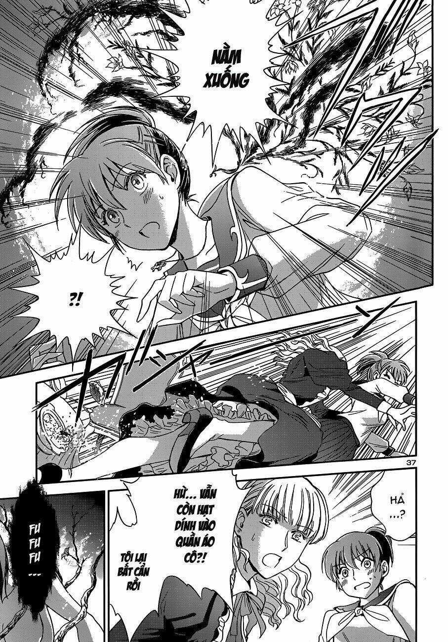 Áo Giáp Vàng: Nữ Thánh Đấu Sĩ Chapter 2 trang 39