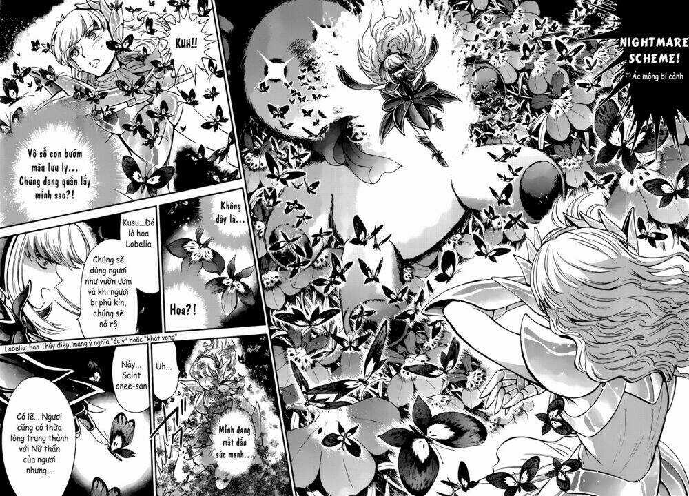 Áo Giáp Vàng: Nữ Thánh Đấu Sĩ Chapter 8 trang 4