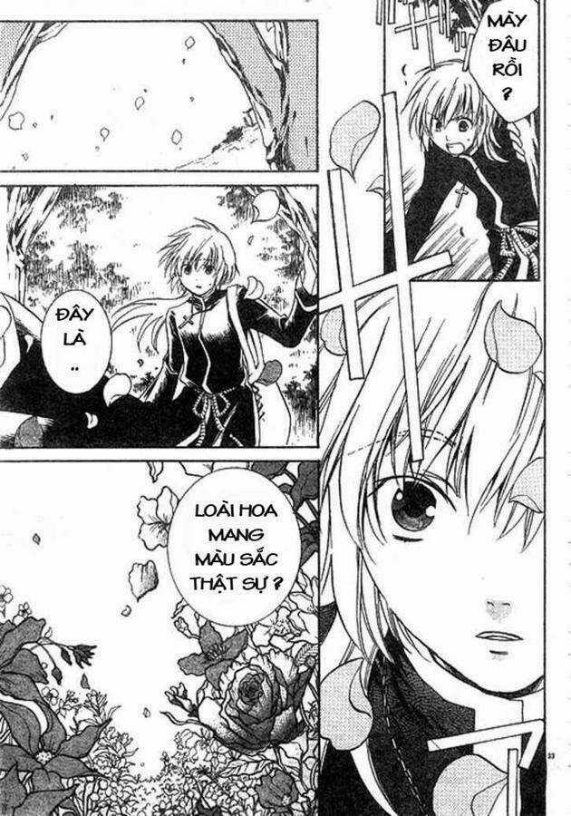 Áo Giáp Vàng: Thánh Đấu Sĩ Thiên Mã Chapter 1 trang 34