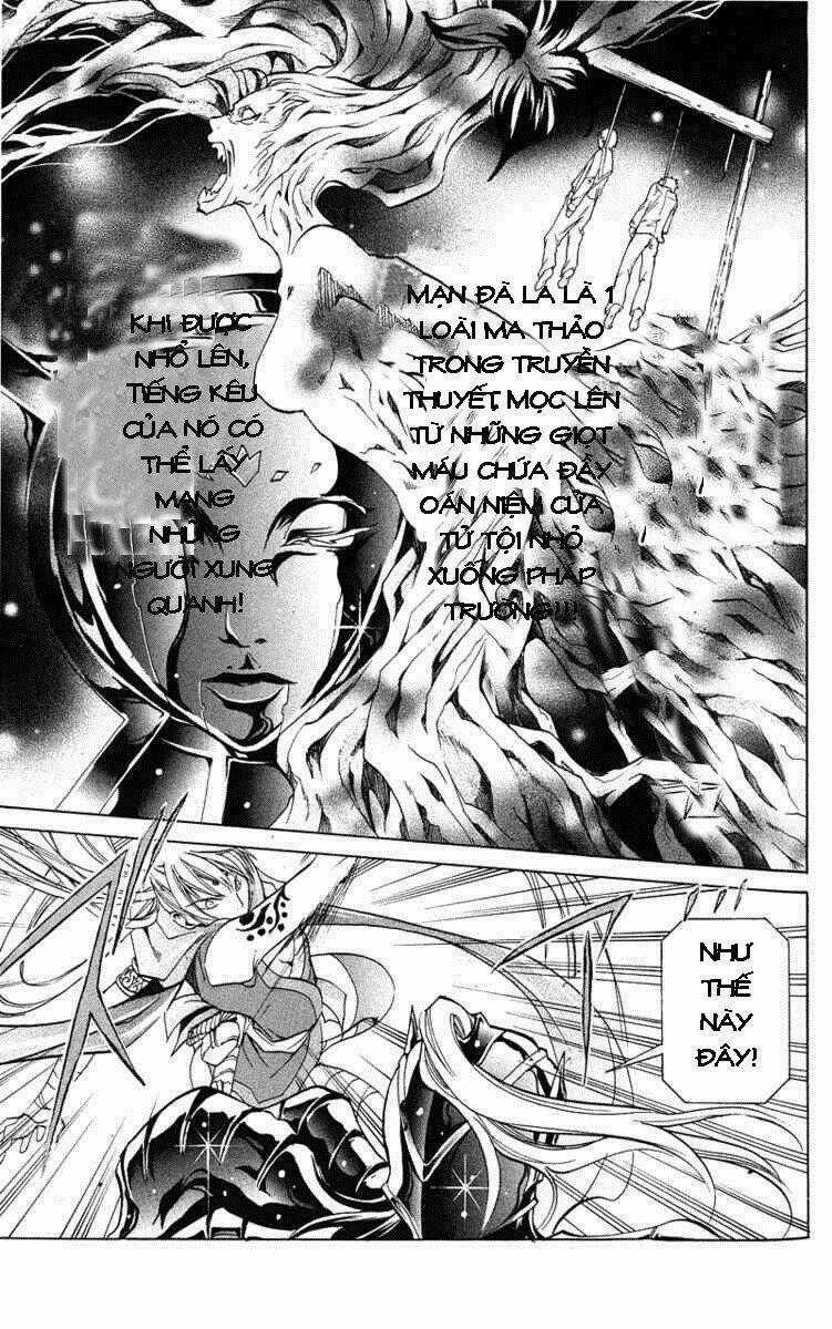 Áo Giáp Vàng: Thánh Đấu Sĩ Thiên Mã Chapter 16 trang 4