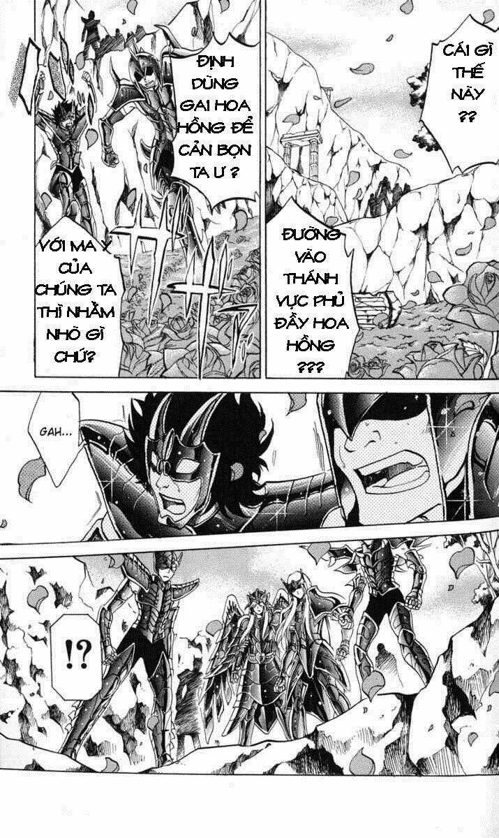 Áo Giáp Vàng: Thánh Đấu Sĩ Thiên Mã Chapter 17 trang 15