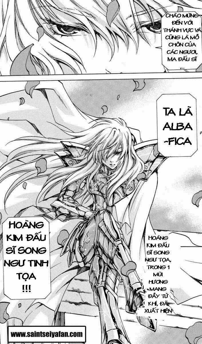 Áo Giáp Vàng: Thánh Đấu Sĩ Thiên Mã Chapter 17 trang 18