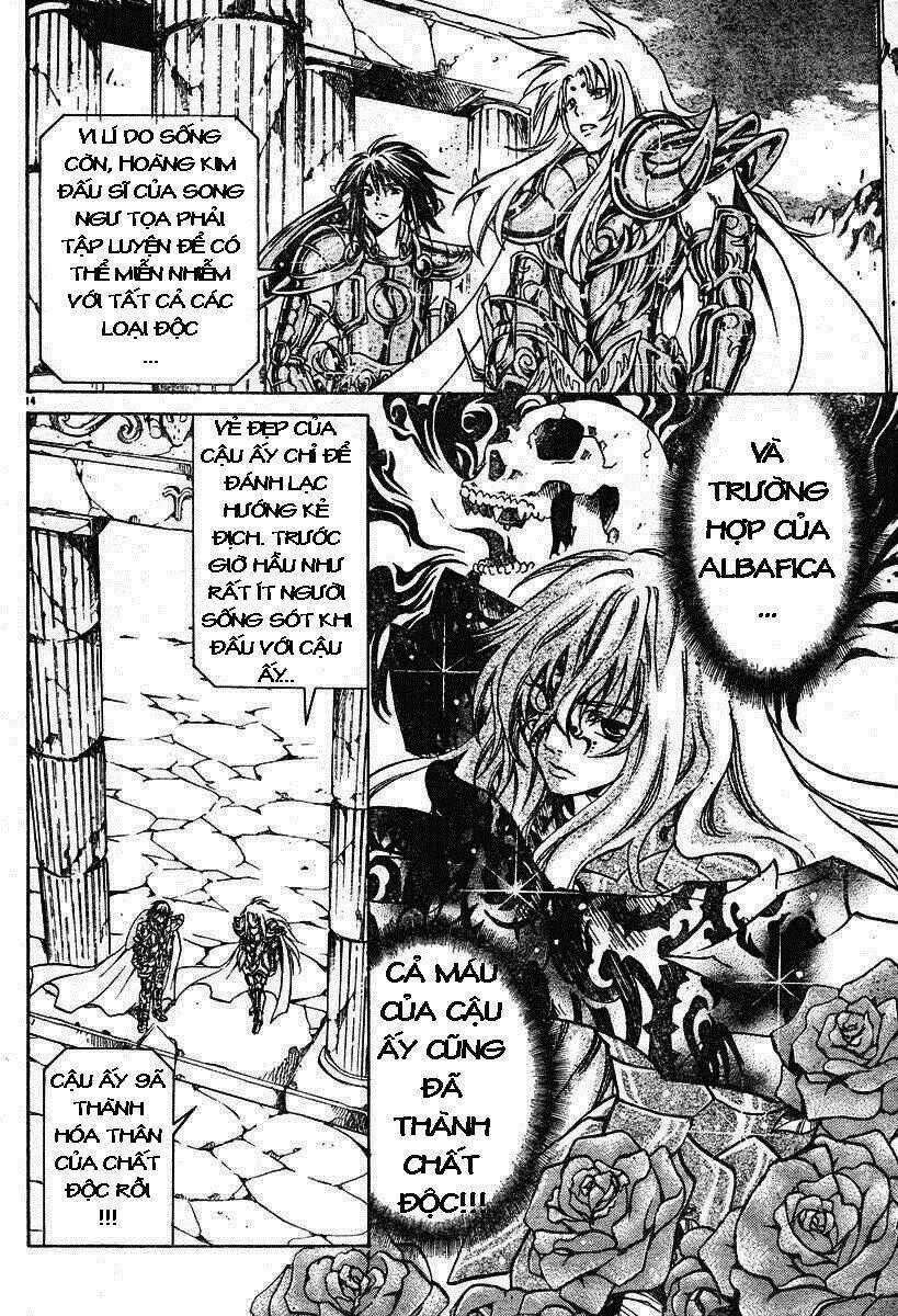 Áo Giáp Vàng: Thánh Đấu Sĩ Thiên Mã Chapter 18 trang 12