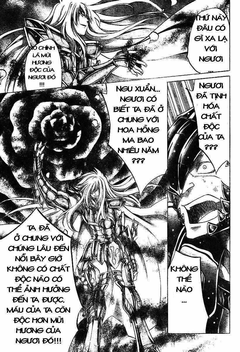 Áo Giáp Vàng: Thánh Đấu Sĩ Thiên Mã Chapter 19 trang 13