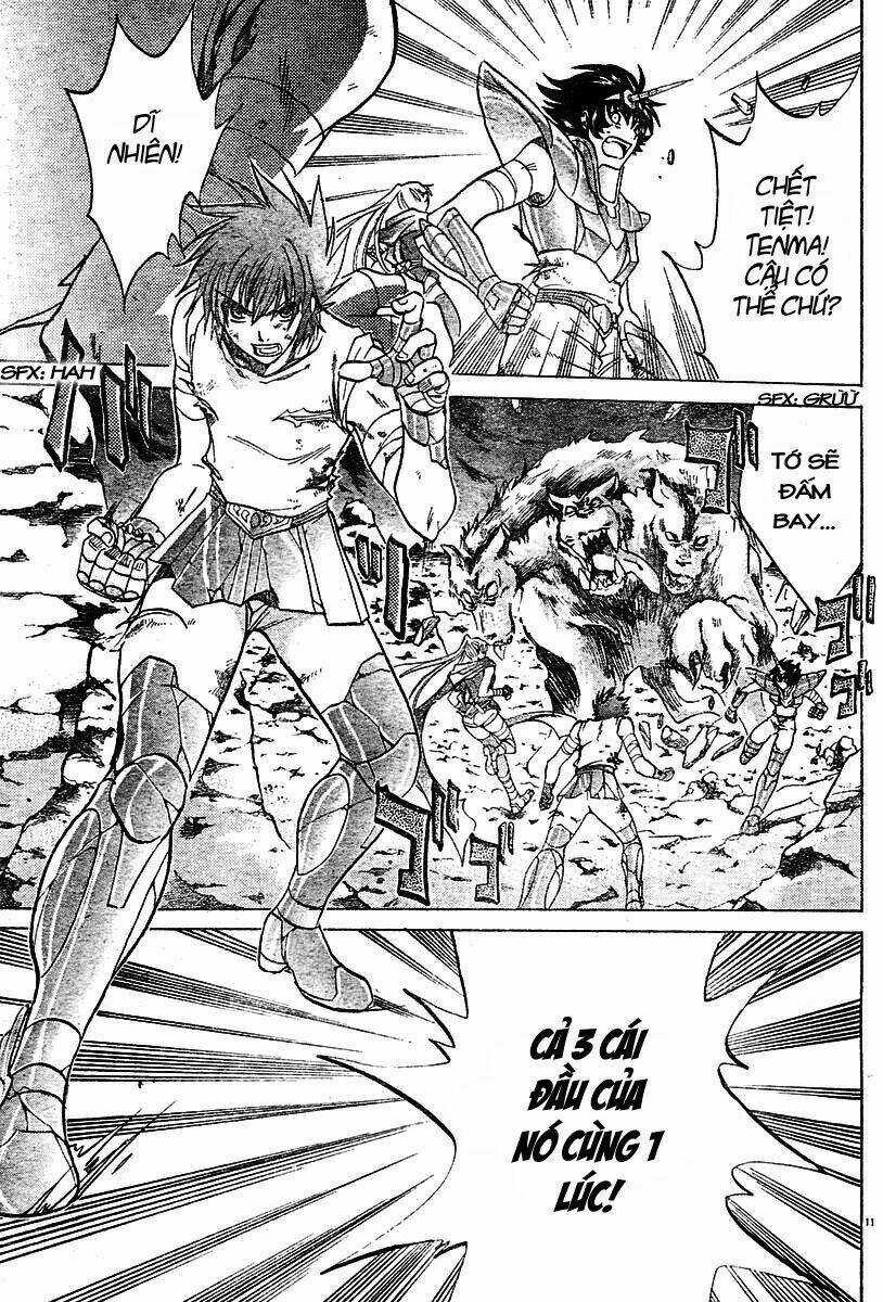 Áo Giáp Vàng: Thánh Đấu Sĩ Thiên Mã Chapter 25 trang 11