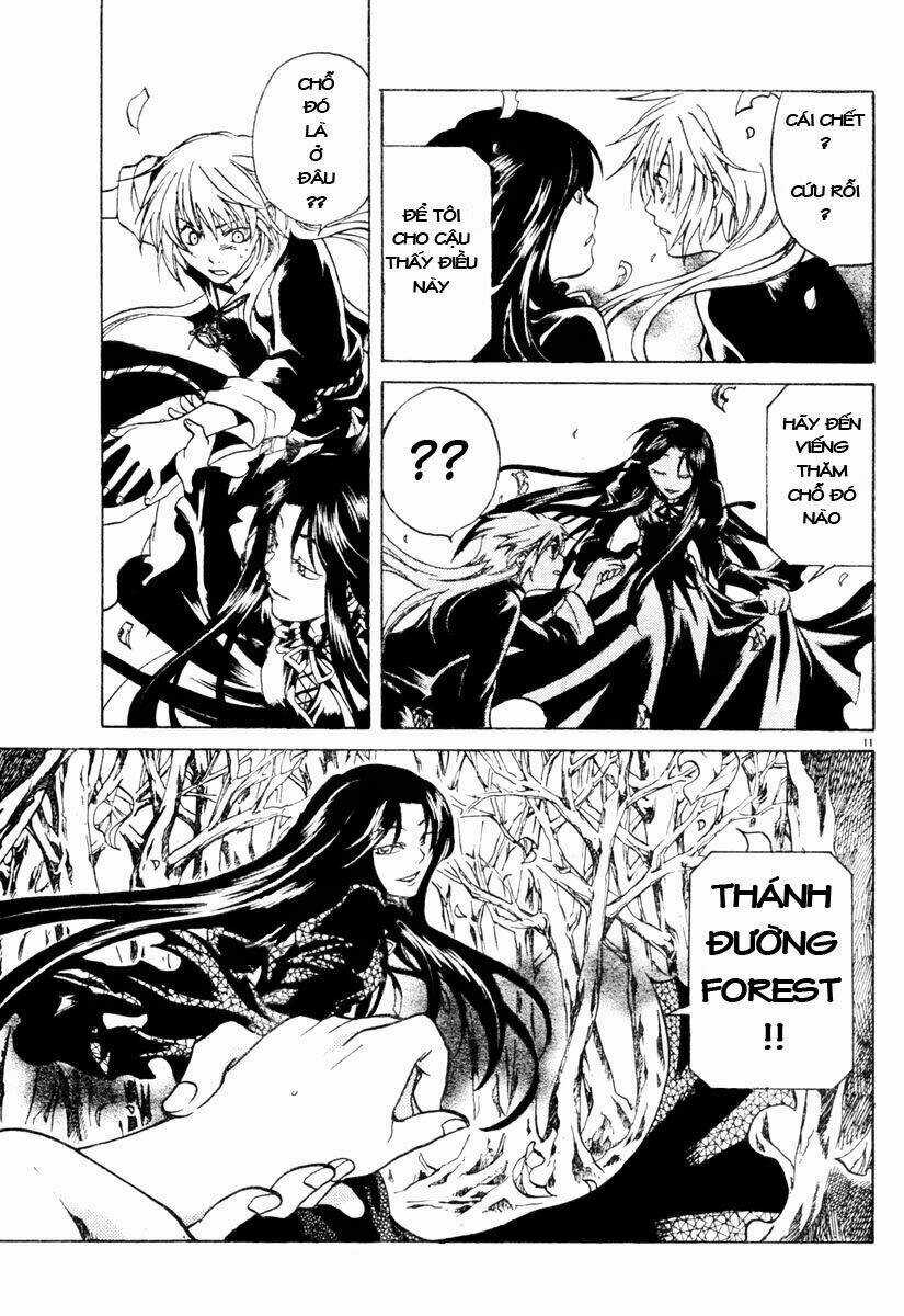 Áo Giáp Vàng: Thánh Đấu Sĩ Thiên Mã Chapter 5 trang 12