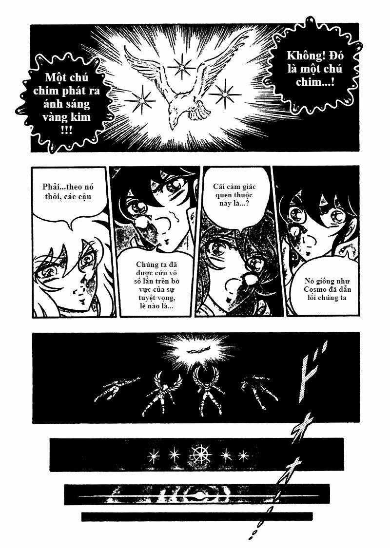 Áo Giáp Vàng: Zeus Chapter 5 trang 15