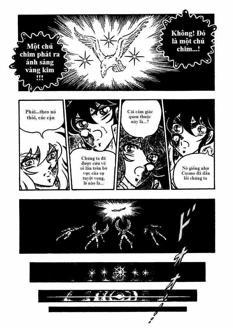 Áo Giáp Vàng: Zeus Chapter 9 trang 15