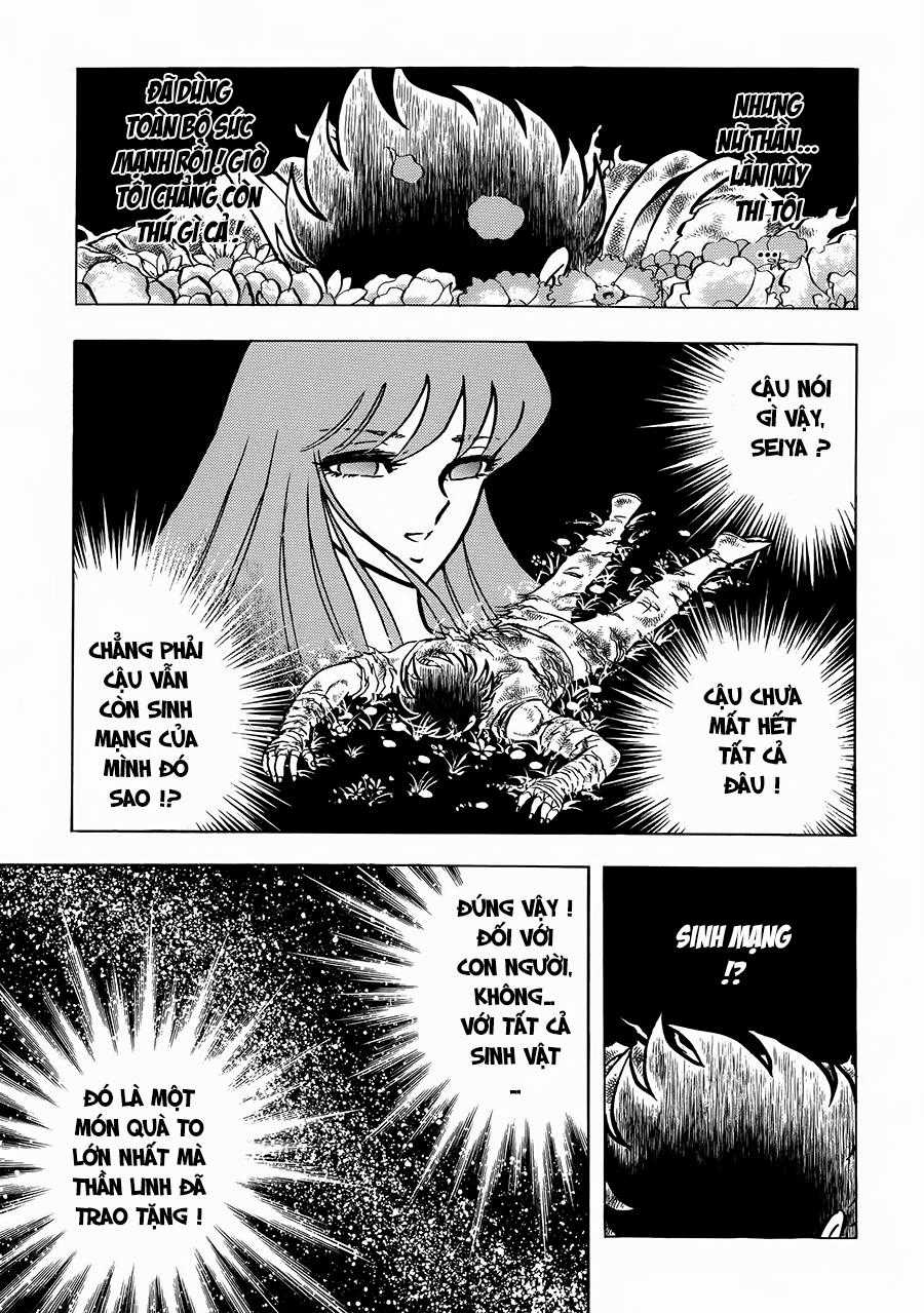 Áo Giáp Vàng Chapter 106 trang 10