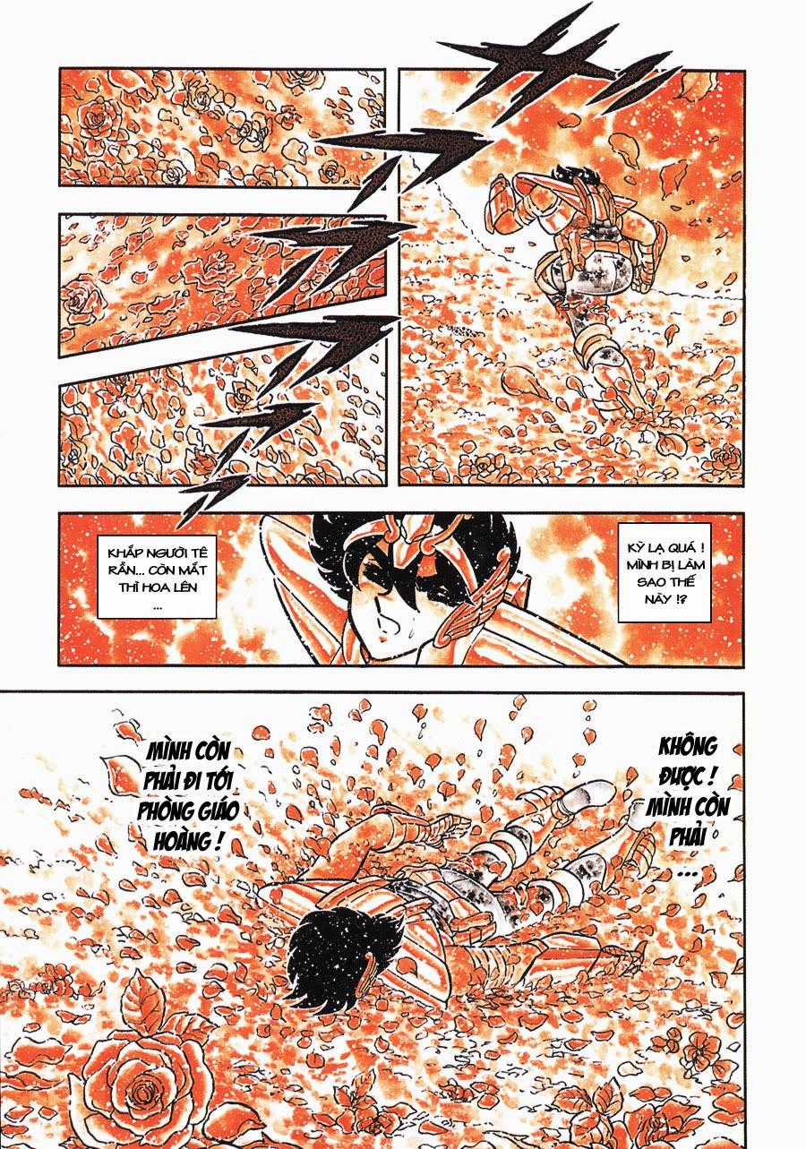 Áo Giáp Vàng Chapter 43 trang 12