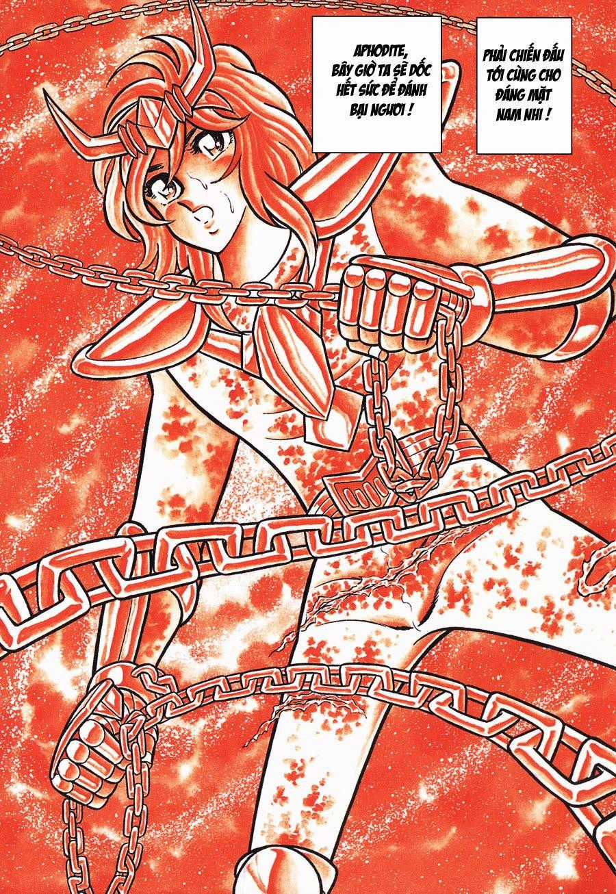 Áo Giáp Vàng Chapter 43 trang 21