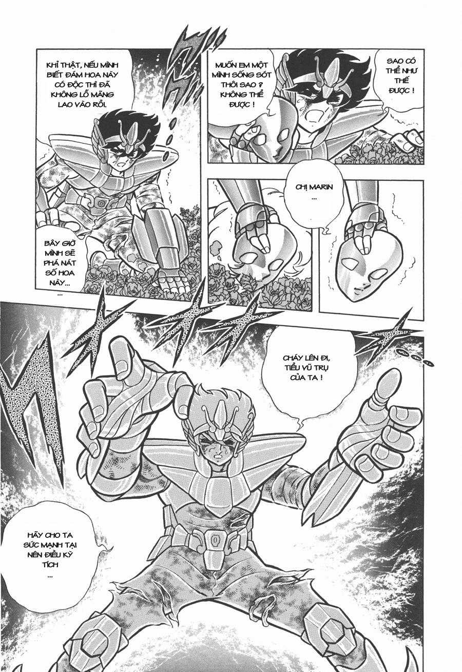 Áo Giáp Vàng Chapter 44 trang 11