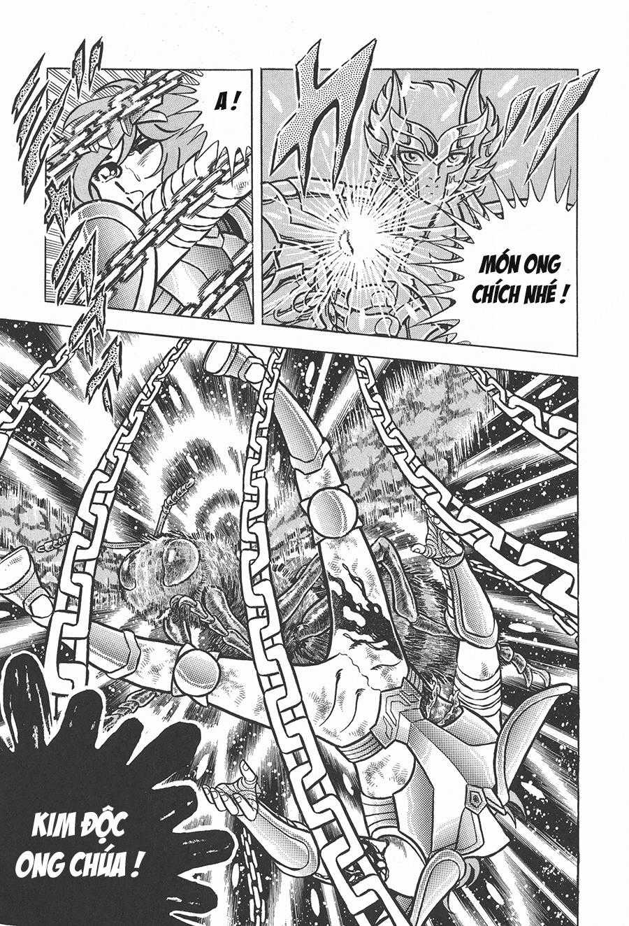 Áo Giáp Vàng Chapter 53 trang 11