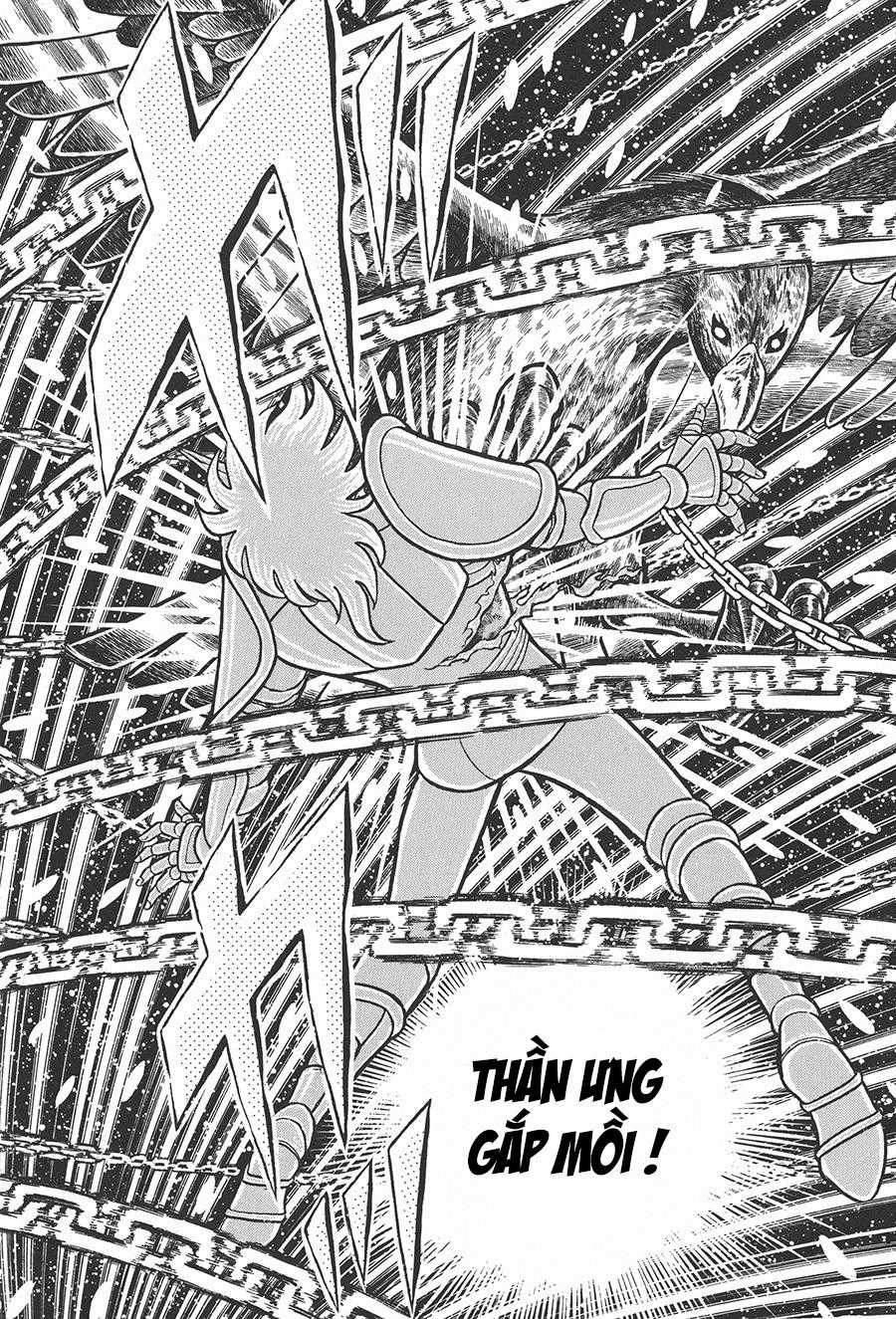 Áo Giáp Vàng Chapter 53 trang 8