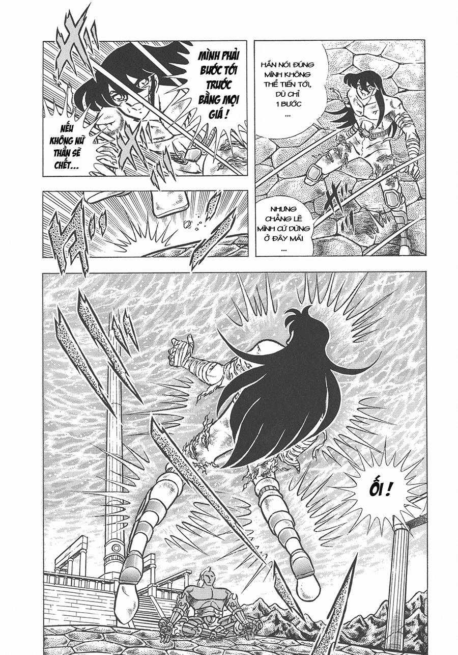 Áo Giáp Vàng Chapter 56 trang 8