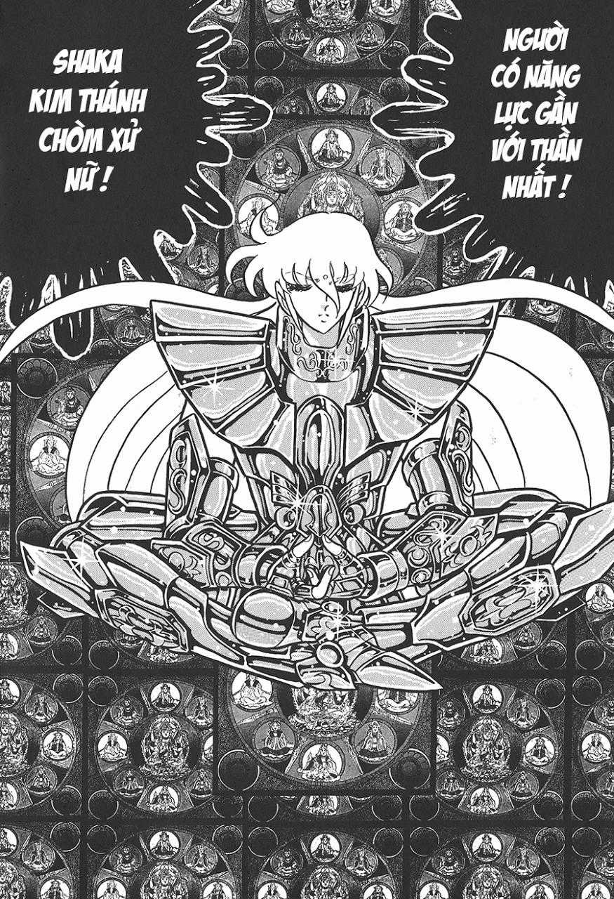 Áo Giáp Vàng Chapter 72 trang 14