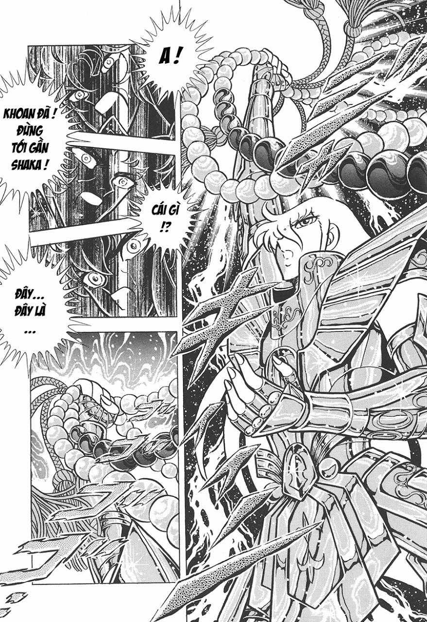 Áo Giáp Vàng Chapter 77 trang 14