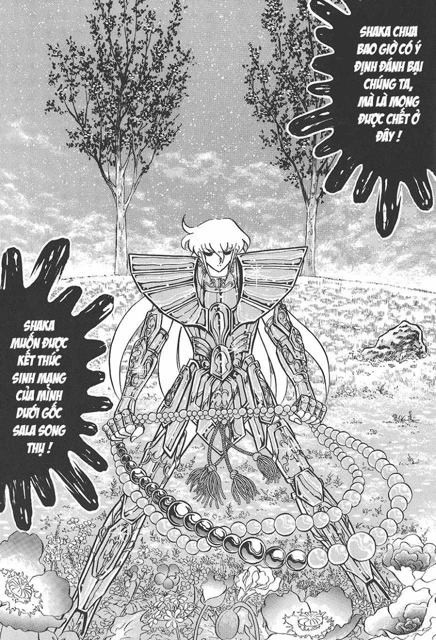 Áo Giáp Vàng Chapter 77 trang 21