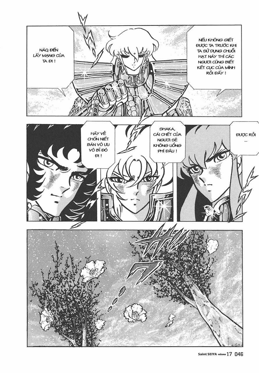 Áo Giáp Vàng Chapter 77 trang 37