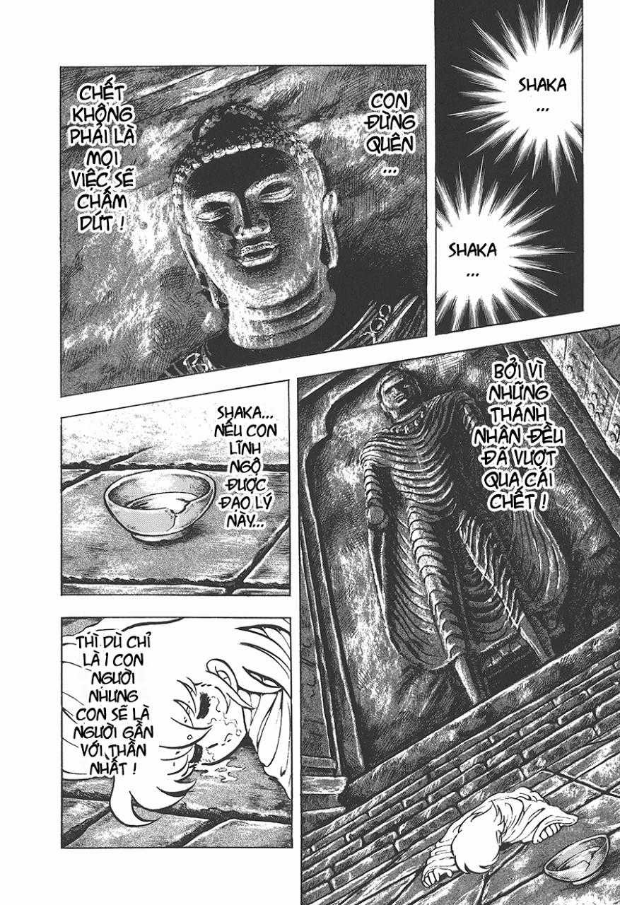 Áo Giáp Vàng Chapter 77 trang 46