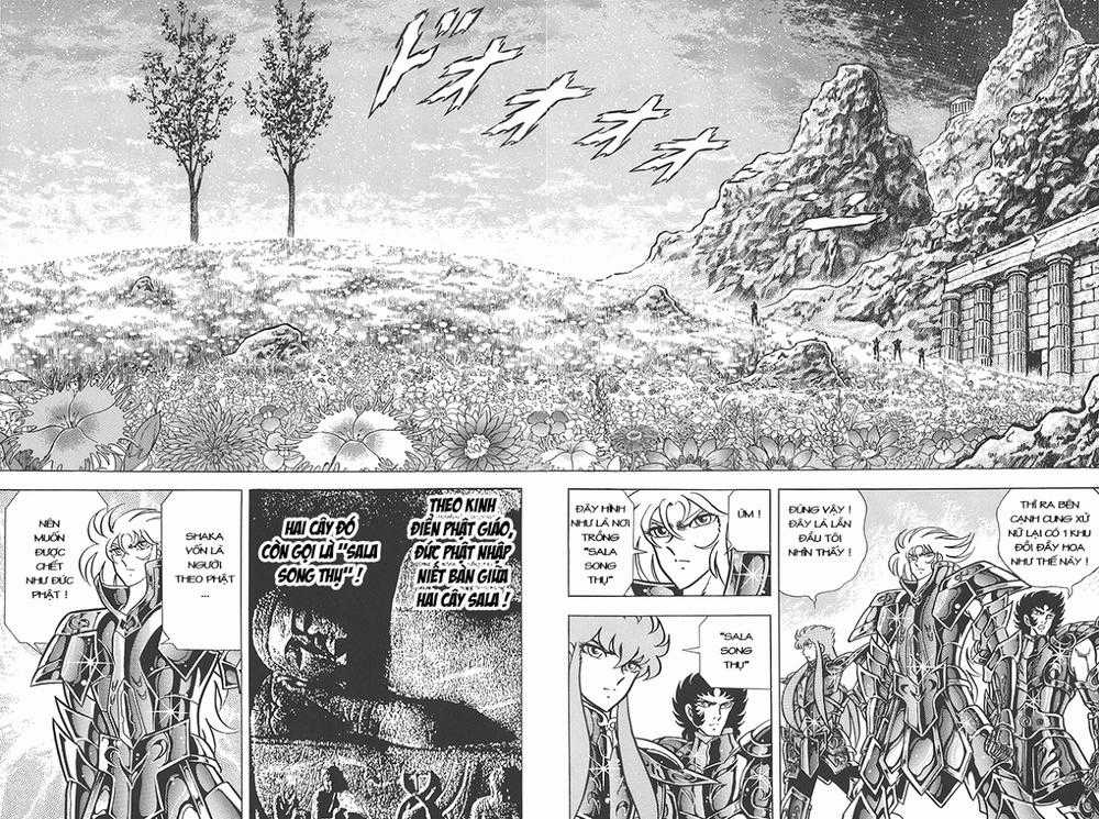 Áo Giáp Vàng Chapter 77 trang 7