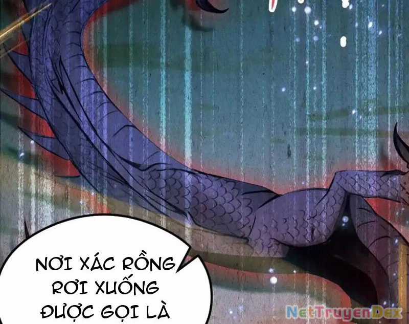 Ảo Ma! Ta Mở Lớp Huấn Luyện Nữ Đế! Chapter 64 trang 114