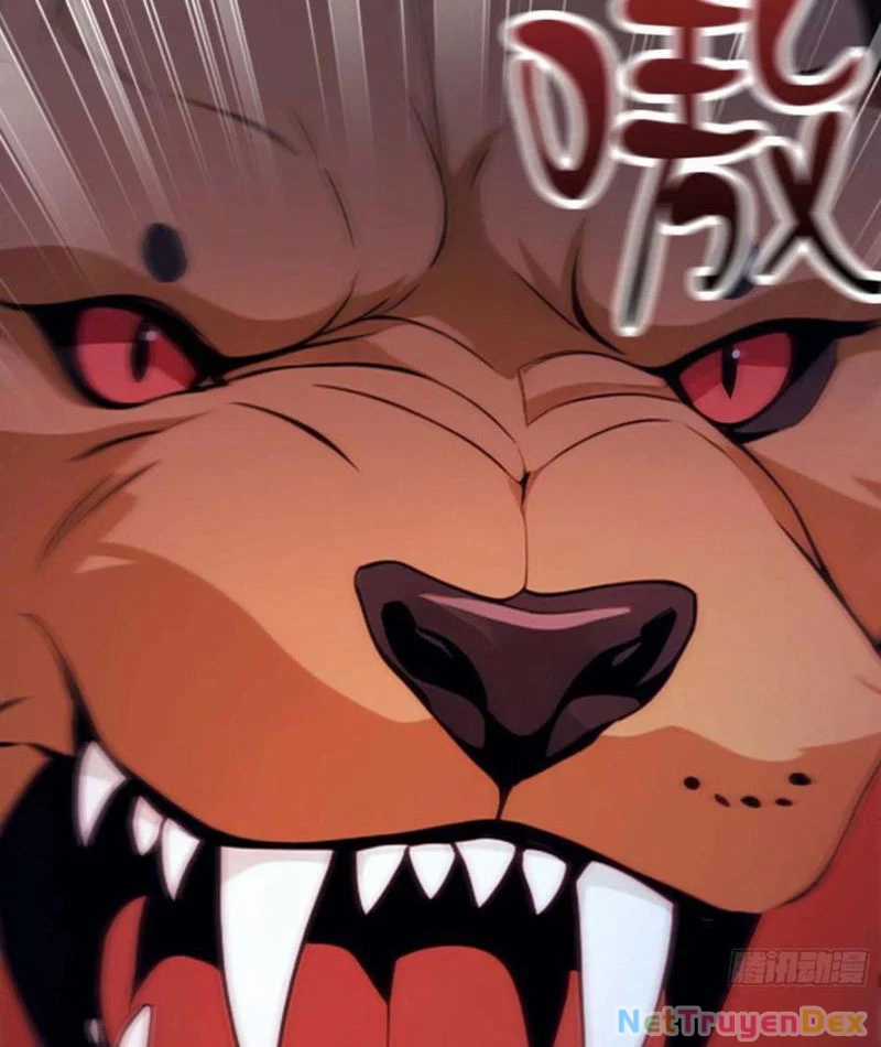 Ảo Ma! Ta Mở Lớp Huấn Luyện Nữ Đế! Chapter 65 trang 14