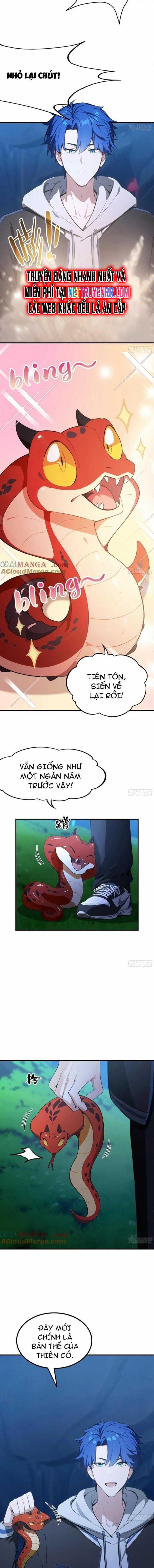 Ảo Ma! Ta Mở Lớp Huấn Luyện Nữ Đế! Chapter 69 trang 10