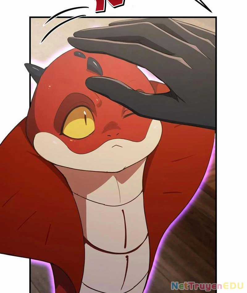 Ảo Ma! Ta Mở Lớp Huấn Luyện Nữ Đế! Chapter 75 trang 52