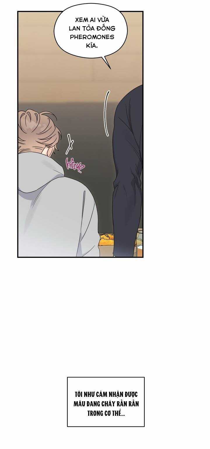 Aphla Trauma Chapter 3 trang 31