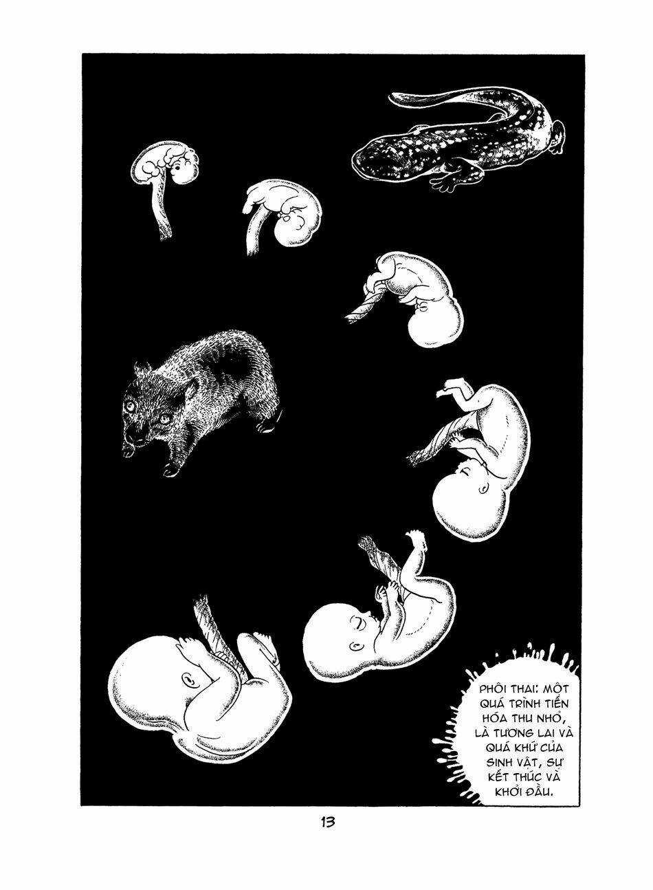 Apollo’s Song Chapter 0 trang 11