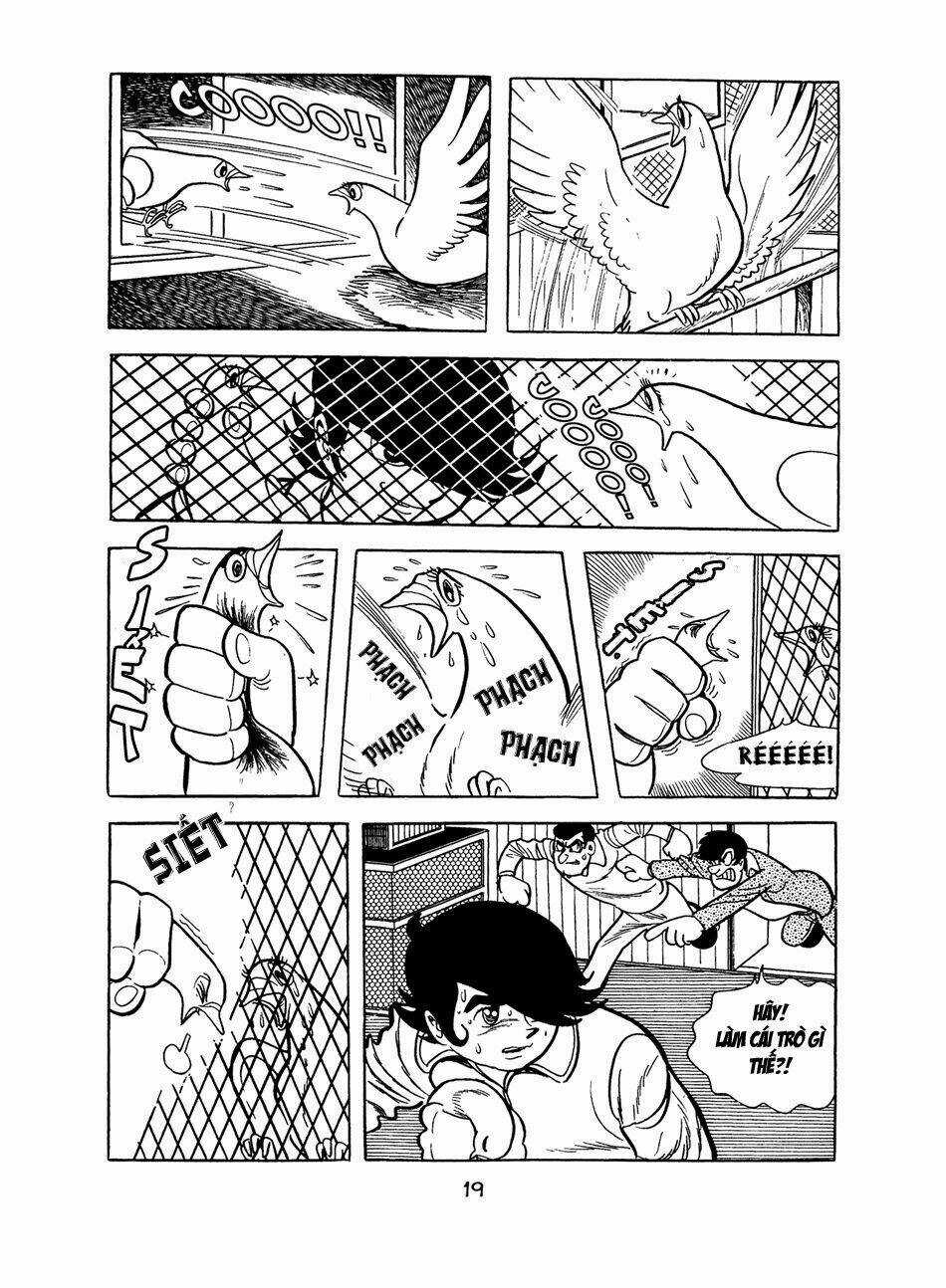 Apollo’s Song Chapter 0 trang 17