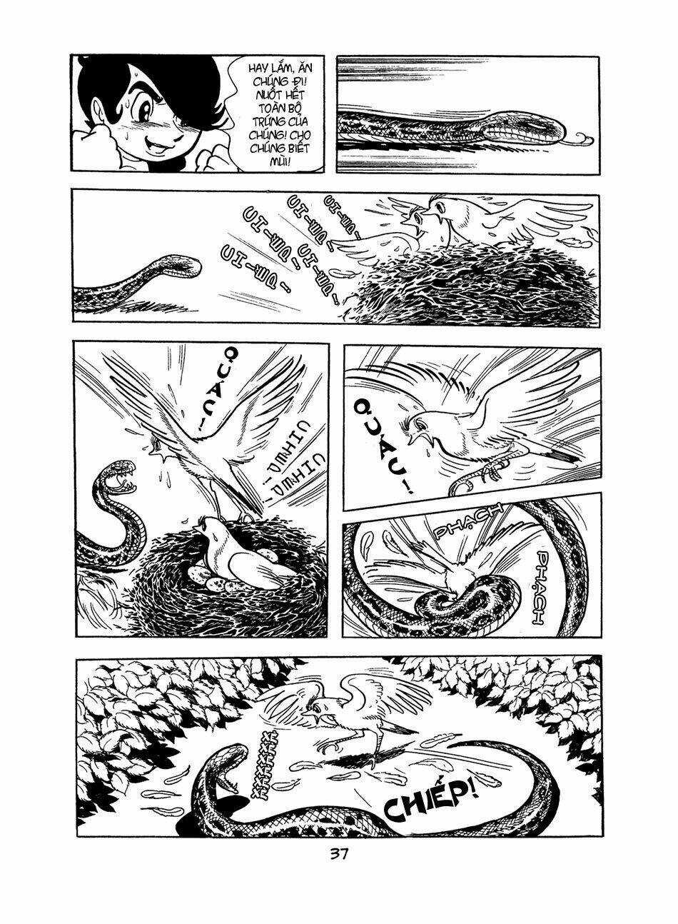 Apollo’s Song Chapter 0 trang 35