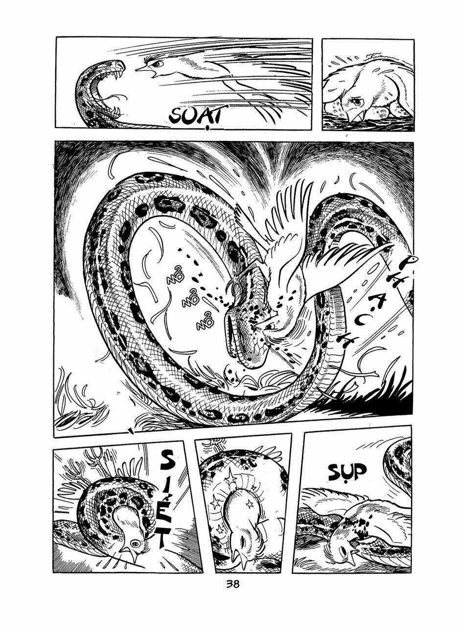 Apollo’s Song Chapter 0 trang 36