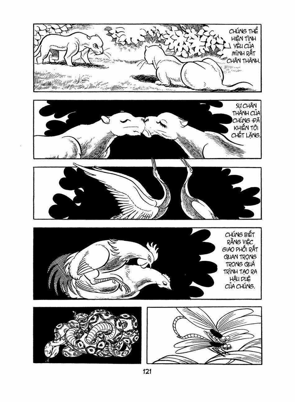 Apollo’s Song Chapter 2.1 trang 41