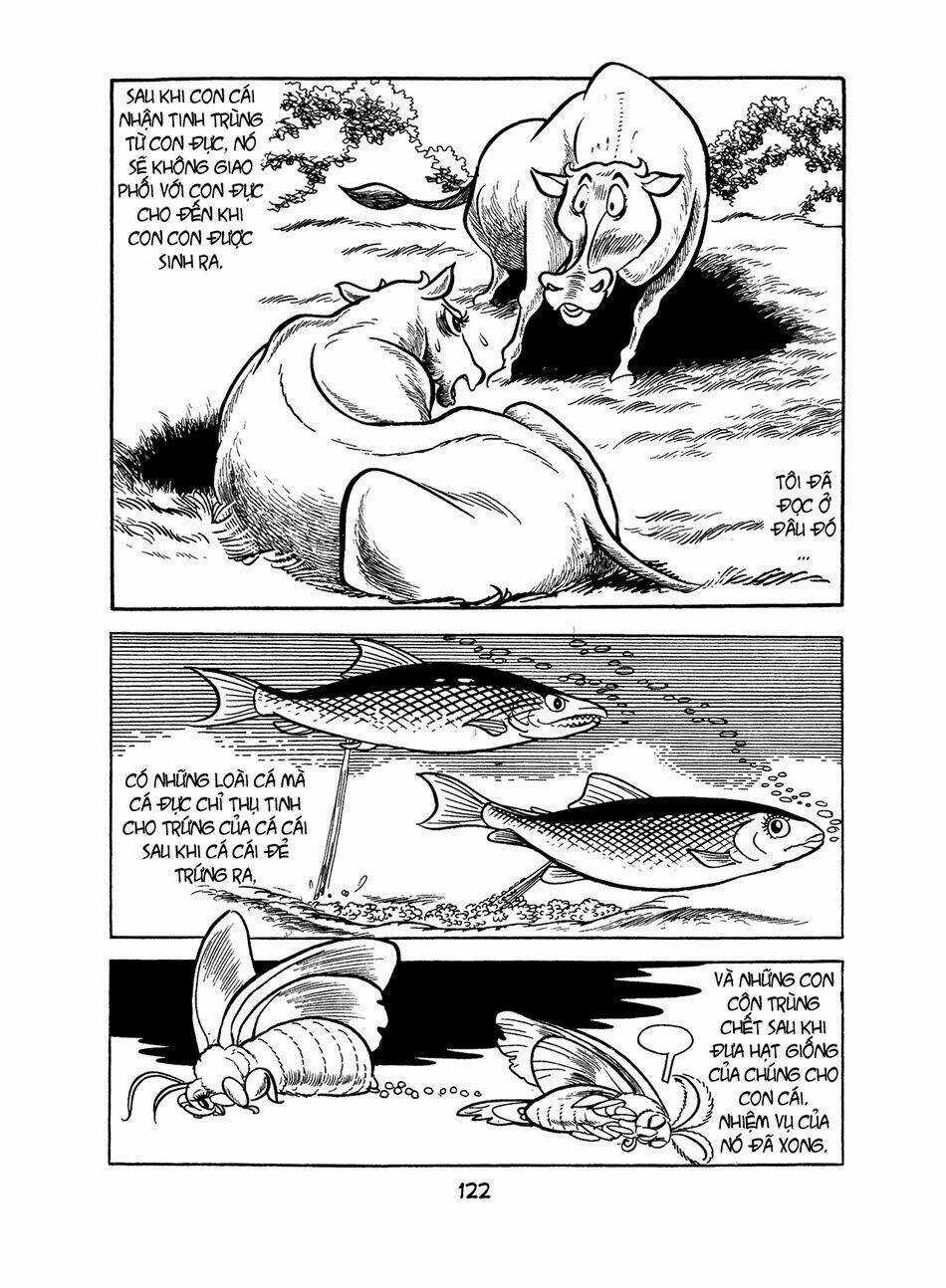 Apollo’s Song Chapter 2.1 trang 42