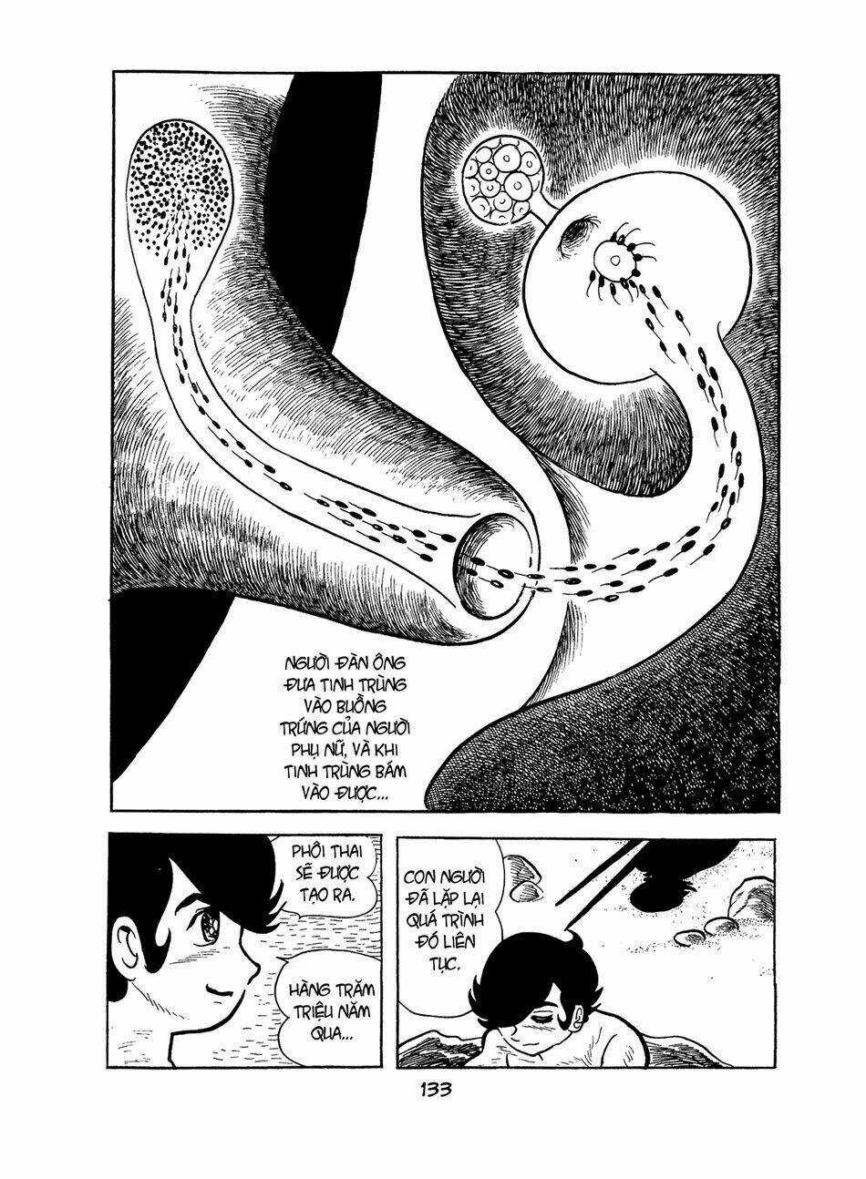 Apollo’s Song Chapter 2.2 trang 8