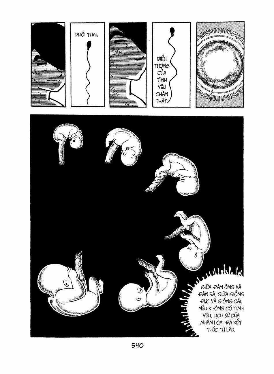 Apollo’s Song Chapter 5 trang 27