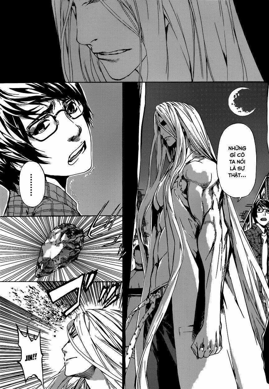 Area D Chapter 19 trang 11