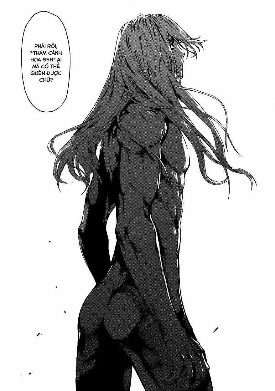 Area D Chapter 19 trang 5