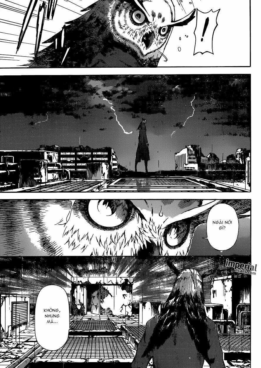 Area D Chapter 26 trang 5